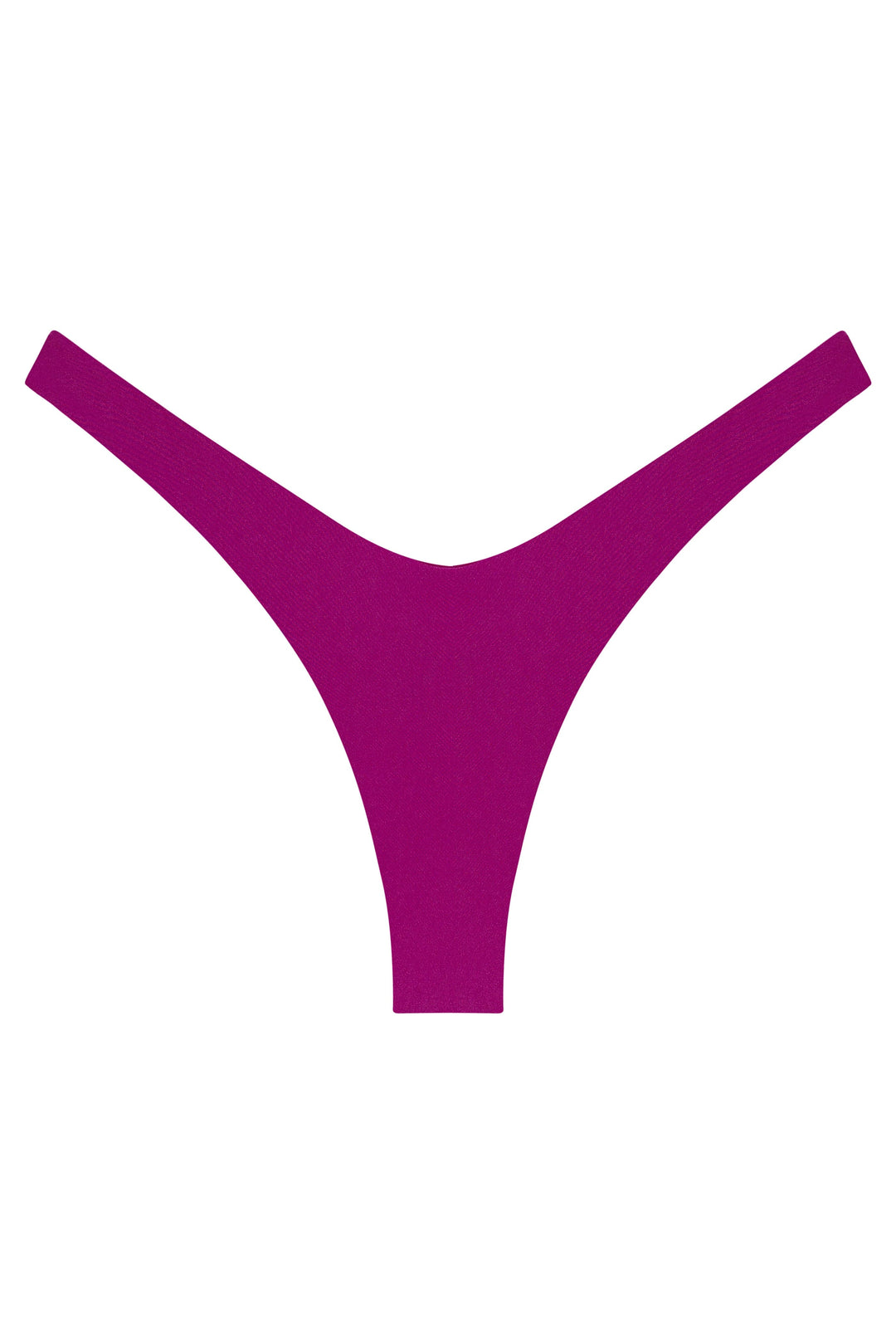 Ludisia Bottom