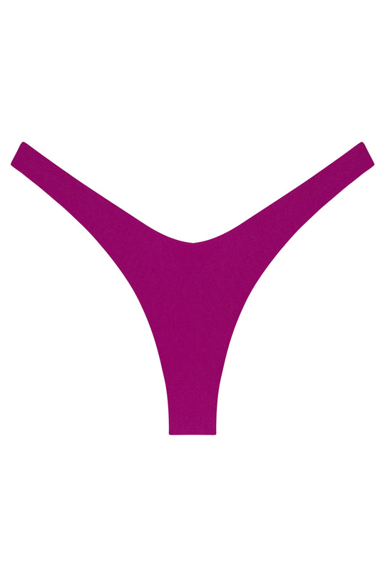 Ludisia Bottom
