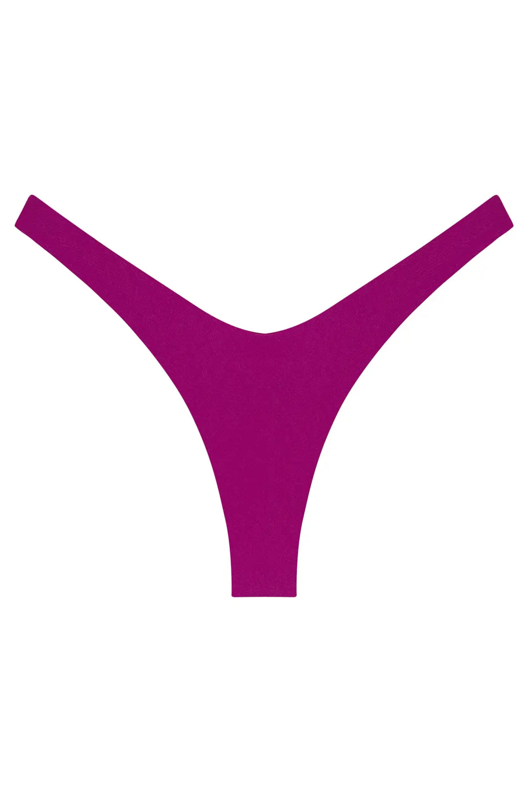 Ludisia Bottom