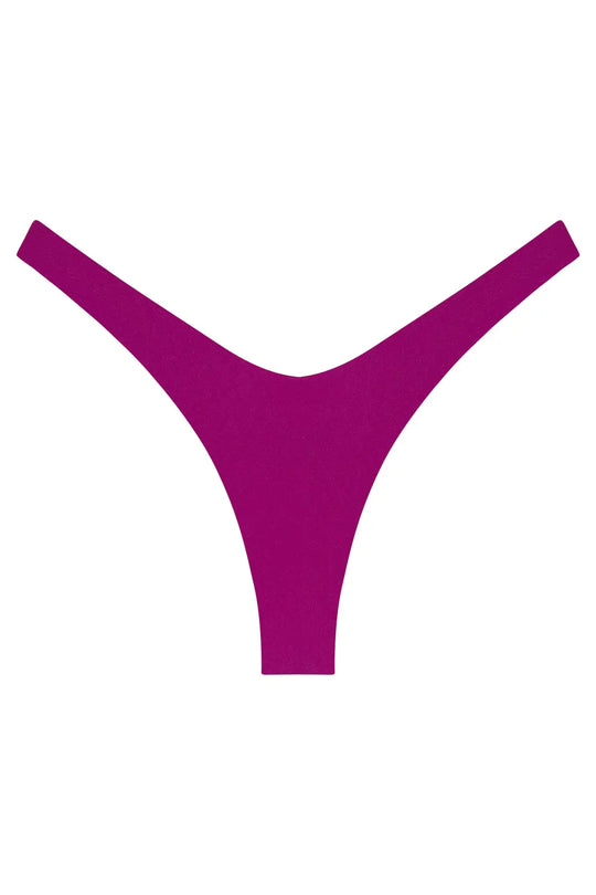 Ludisia Bottom