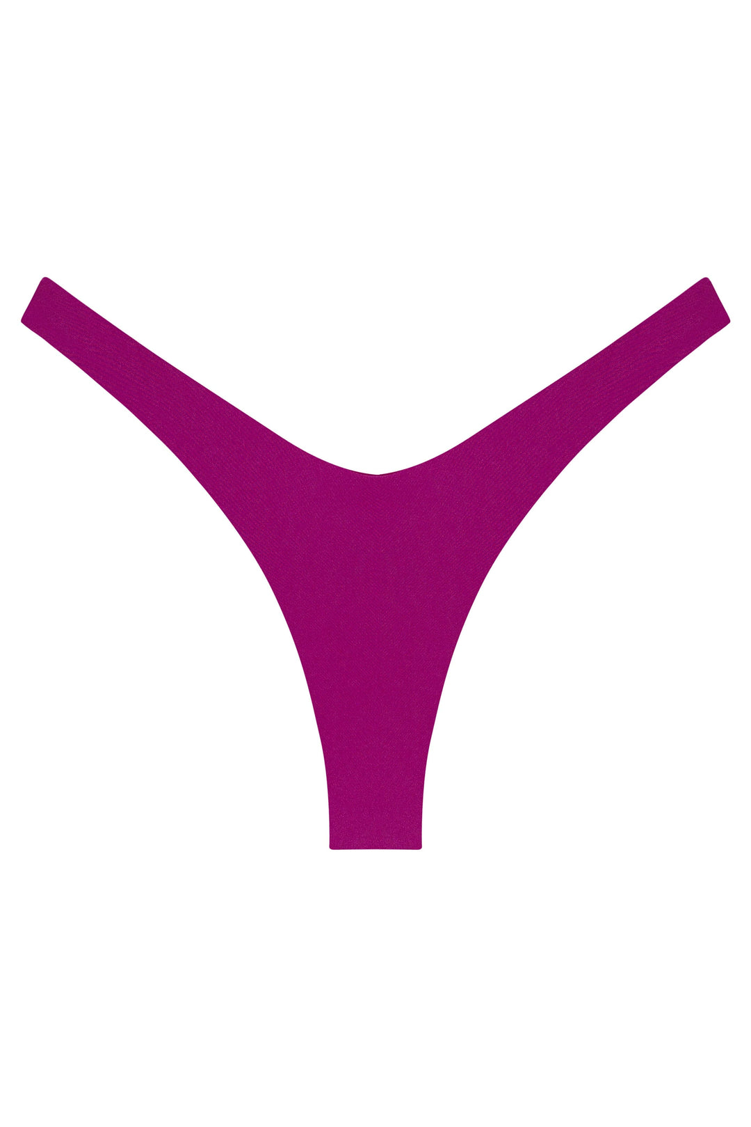 Ludisia Bottom