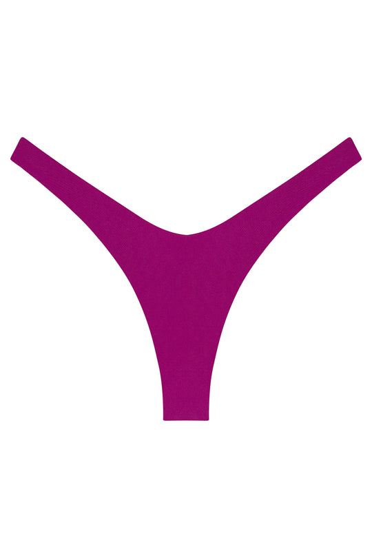 Ludisia Bottom