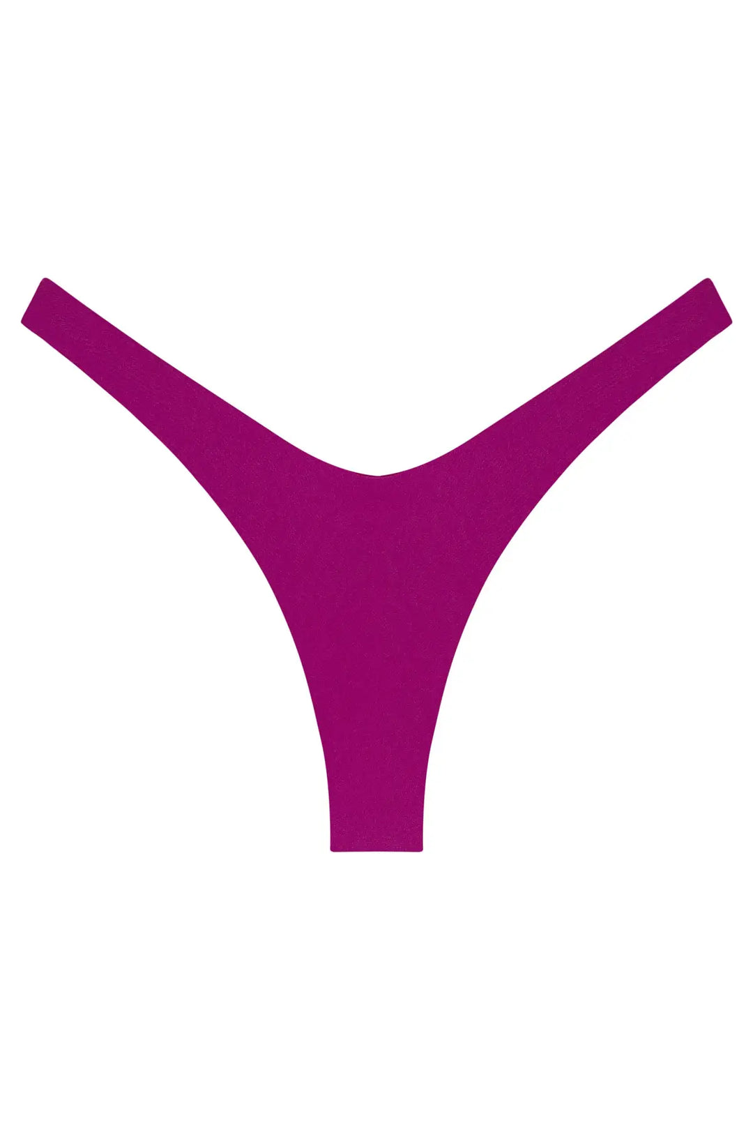 Ludisia Bottom
