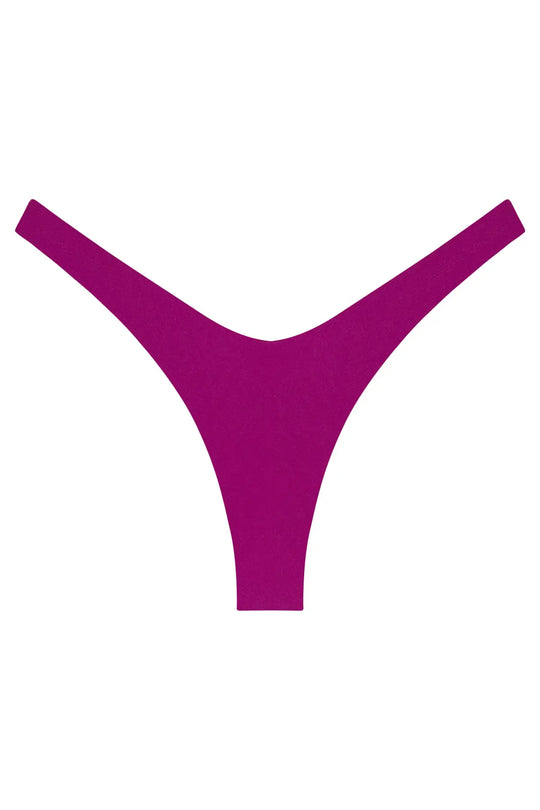 Ludisia Bottom