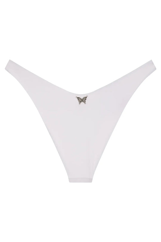 Ludisia Bottom