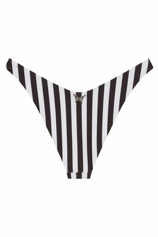 Ludisia Bottom