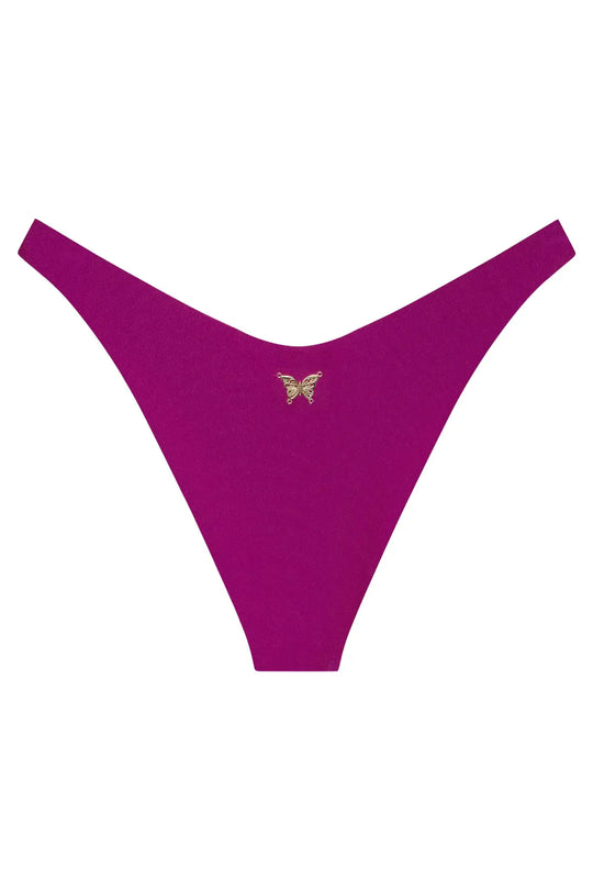 Ludisia Bottom
