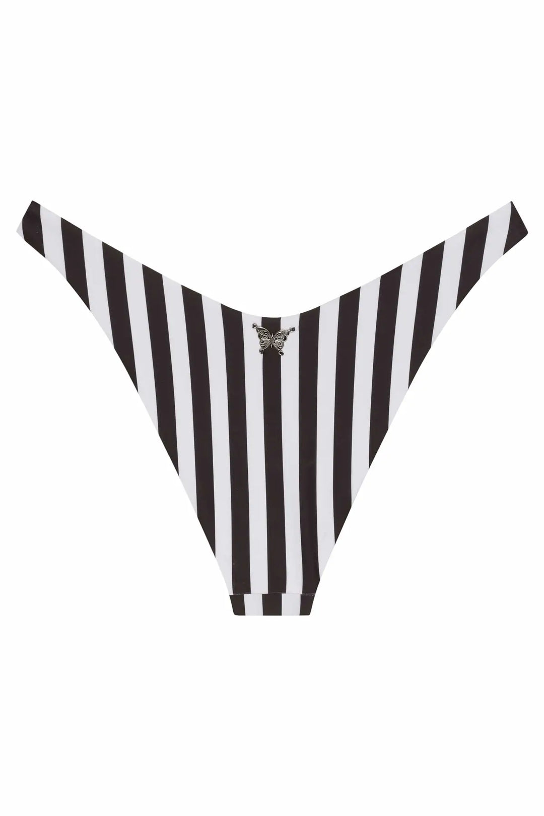 Ludisia Bottom