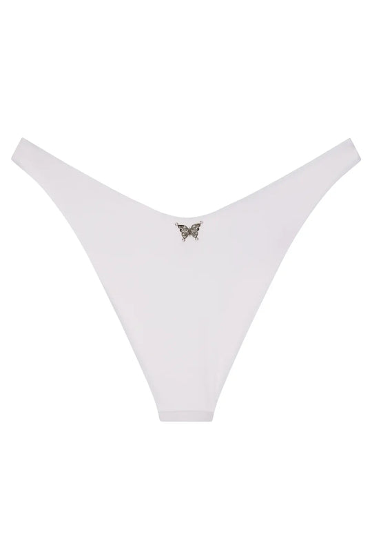 Ludisia Bottom