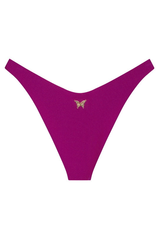 Ludisia Bottom