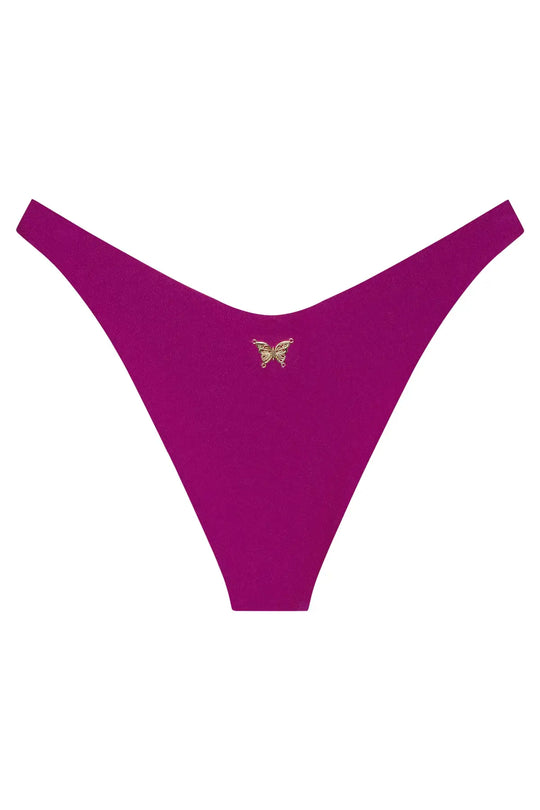 Ludisia Bottom