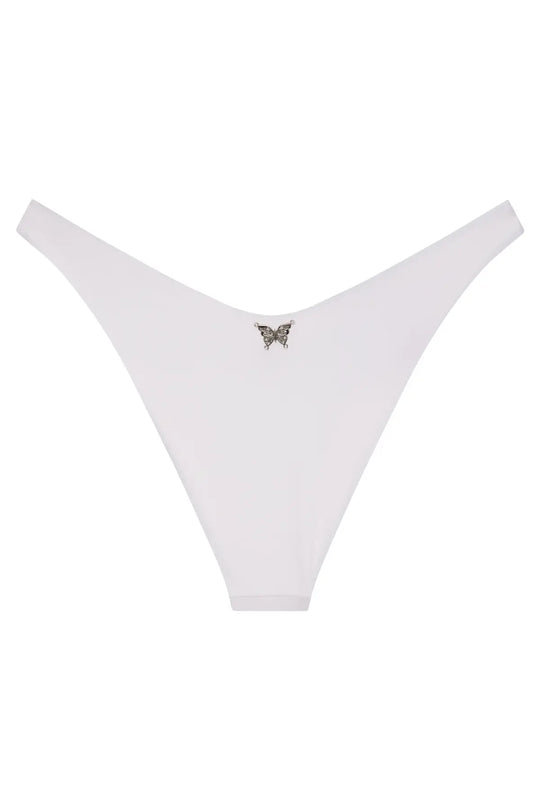 Ludisia Bottom