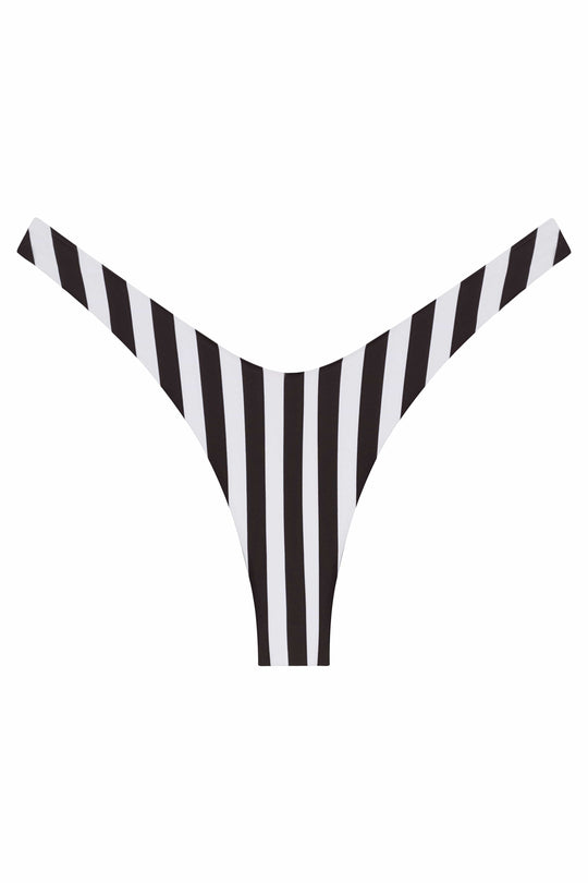 Ludisia Bottom