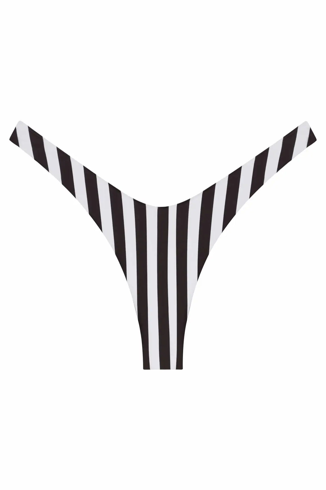 Ludisia Bottom