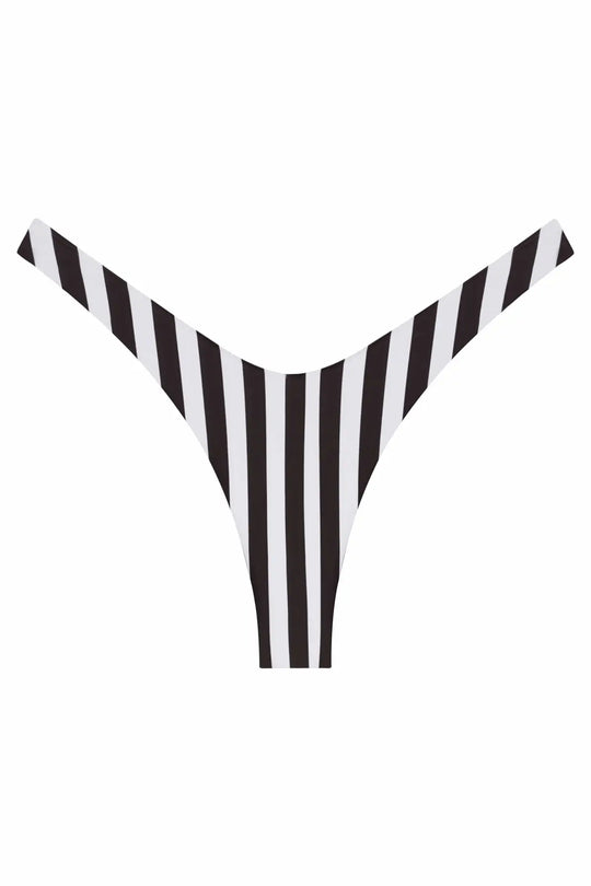 Ludisia Bottom