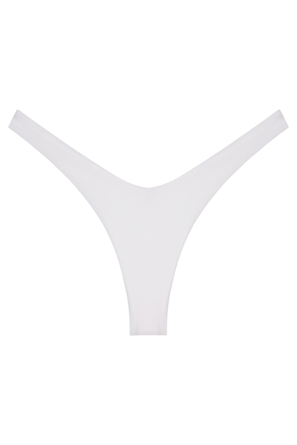 Ludisia Bottom