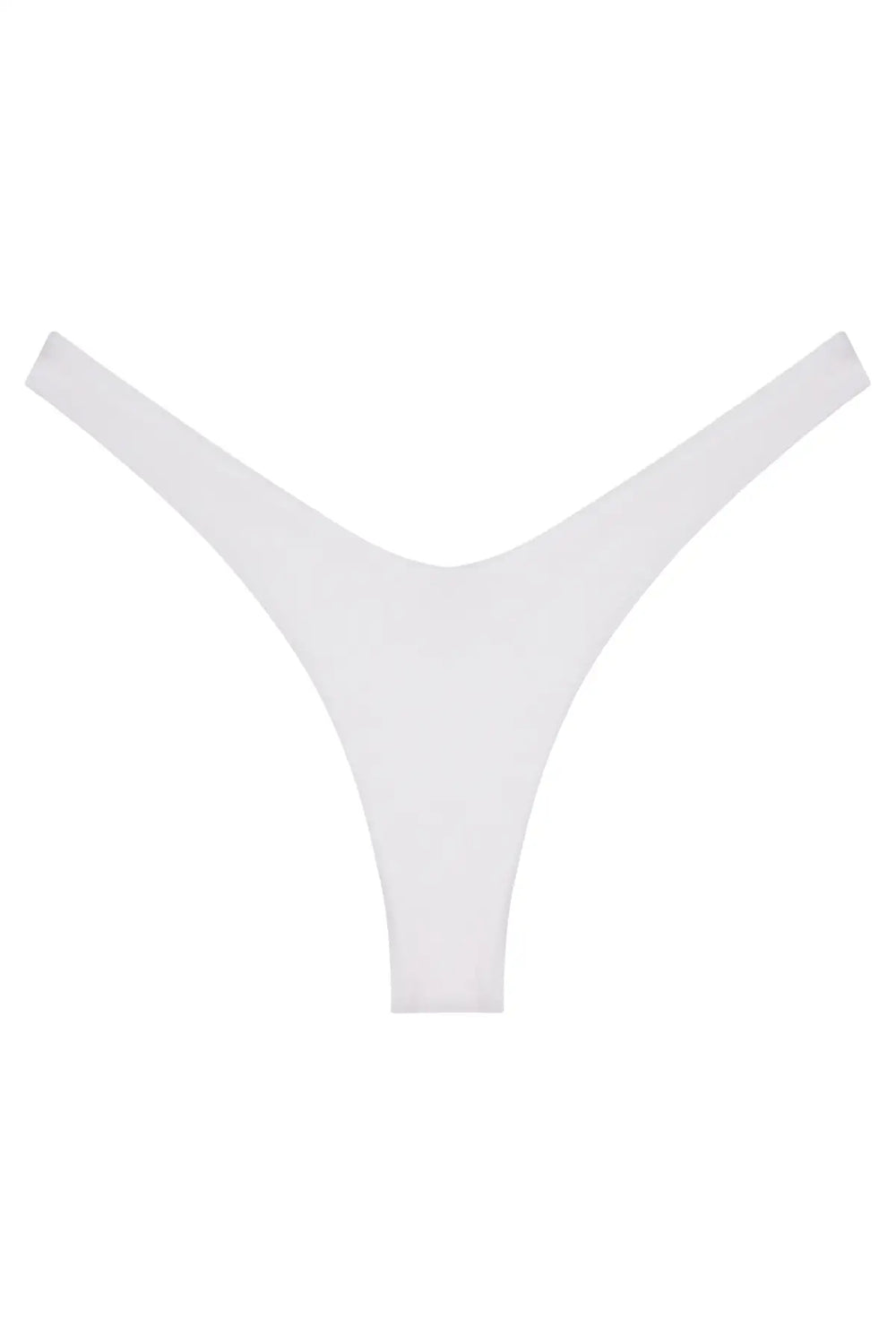 Ludisia Bottom