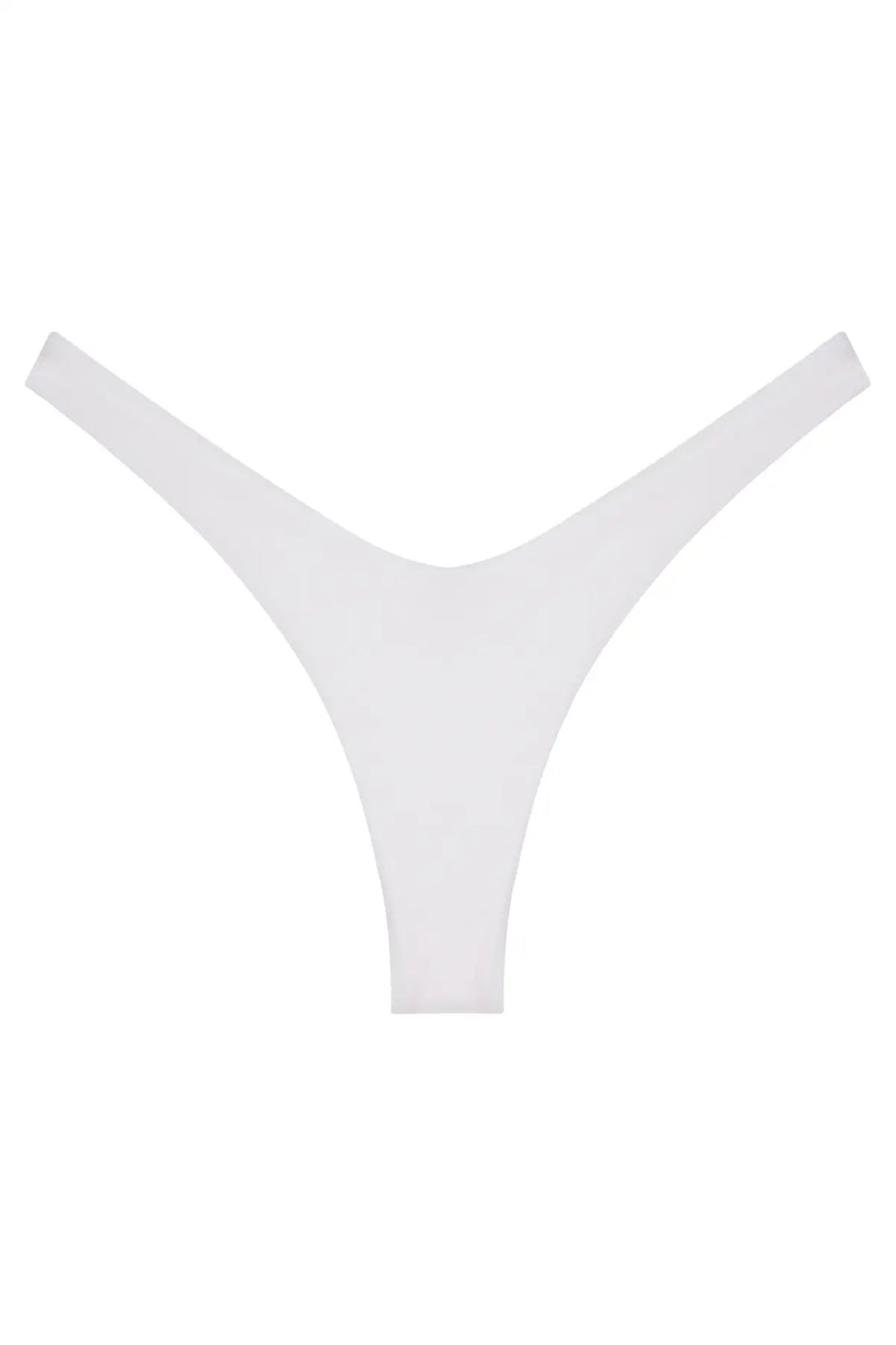 Ludisia Bottom