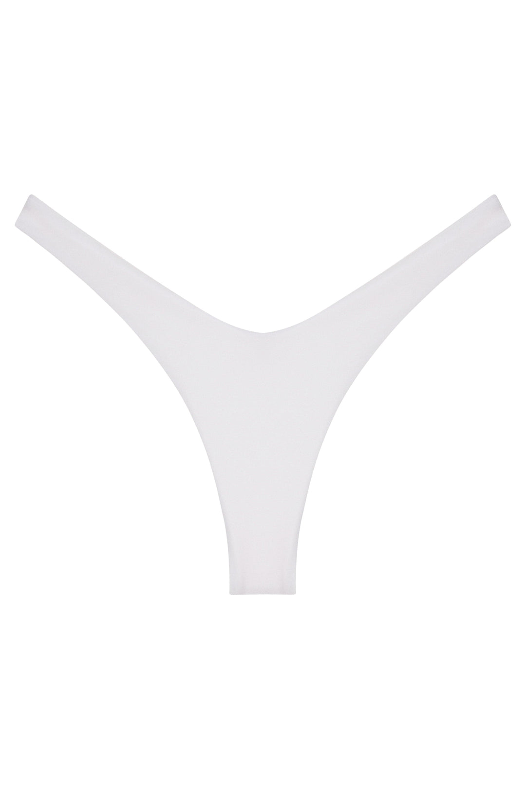 Ludisia Bottom