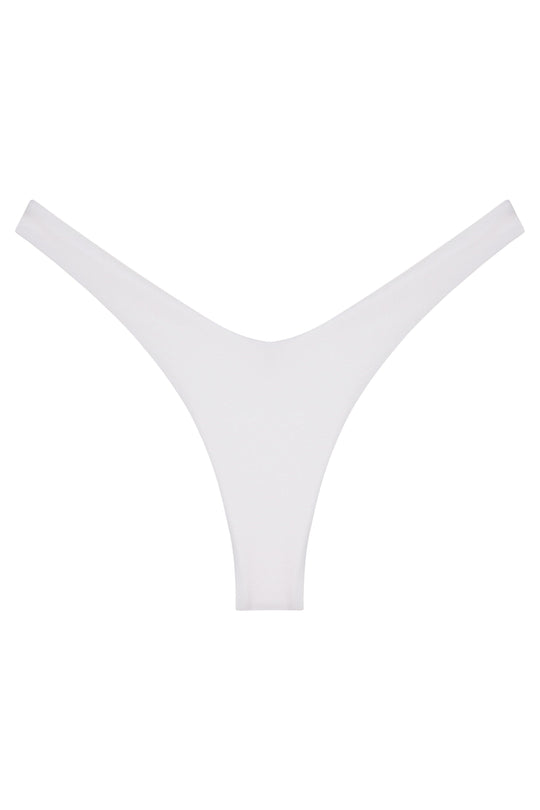 Ludisia Bottom