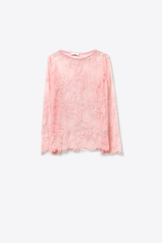 Pink Lace Long Sleeve Sheer Top with Floral Detail - One Size / Pink