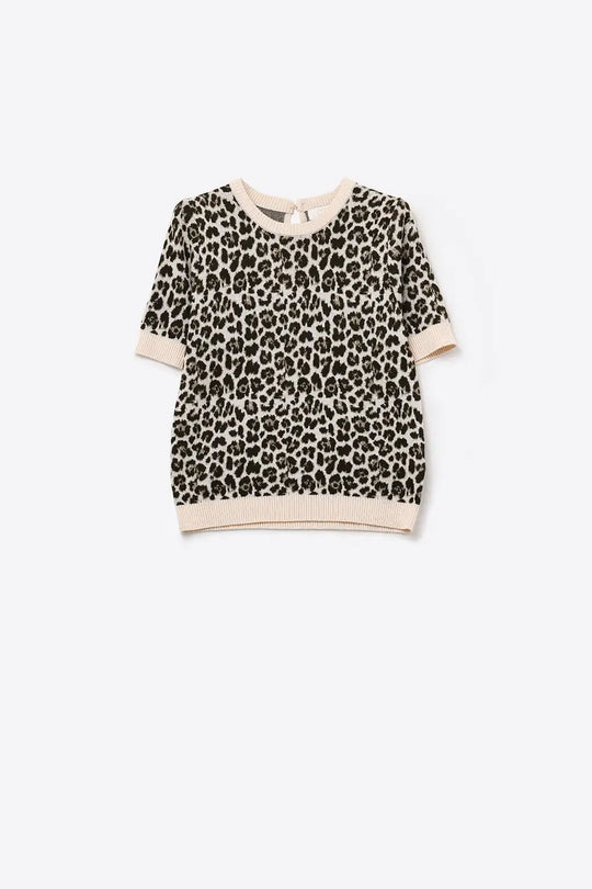 Pull chic à manches courtes imprimé léopard - Pulls