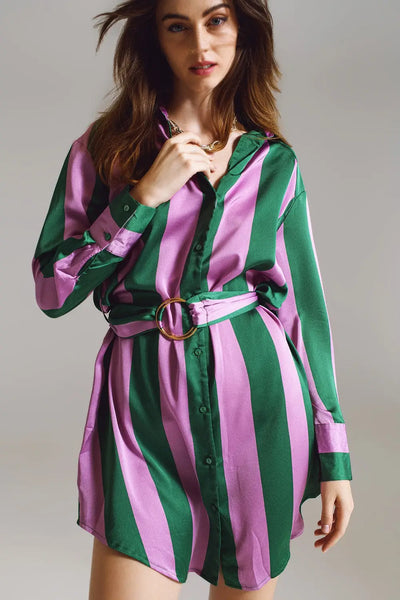 Short Shirt Dress in Lilac and Green Stripe - Dresses