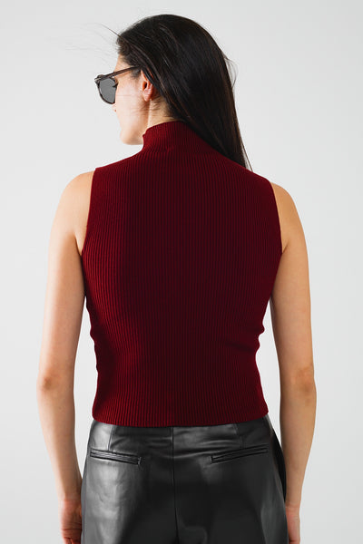 Turtle Neck Ribbed Top in Burgundy