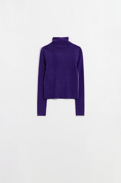 Two-Coloured Turtle Neck Sweater in Purple
