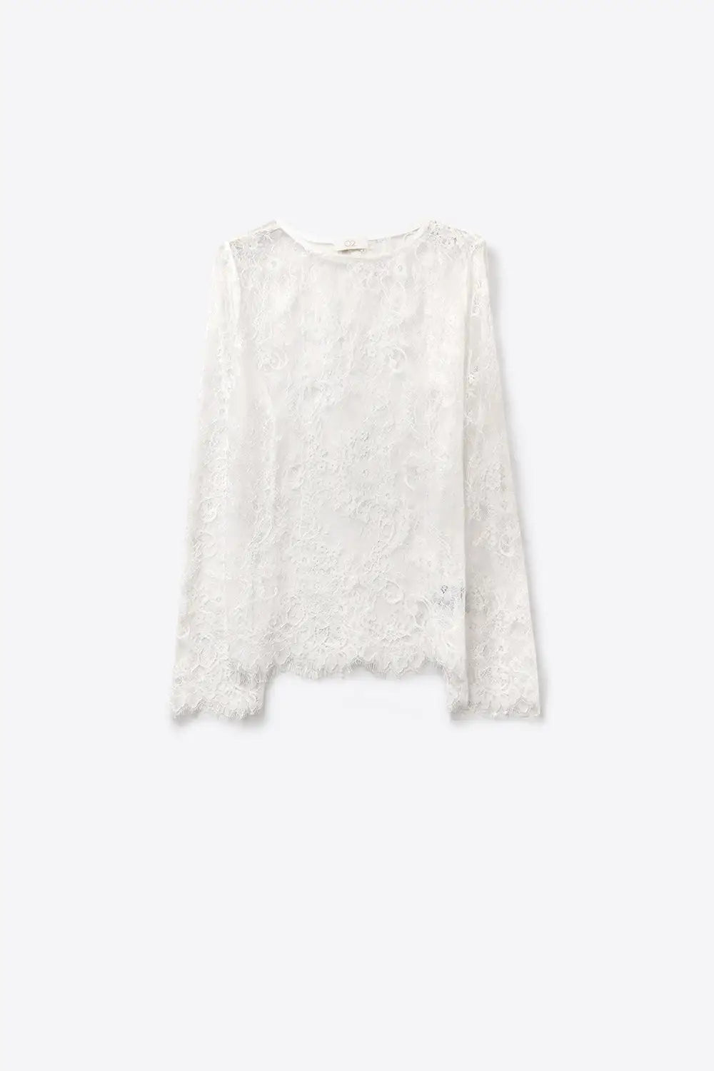 White Lace Long Sleeve Sheer Top with Floral Detail - One Size / White