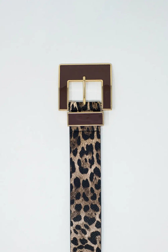 Wide leopard belt in dark brown with black square buckle - Accesory