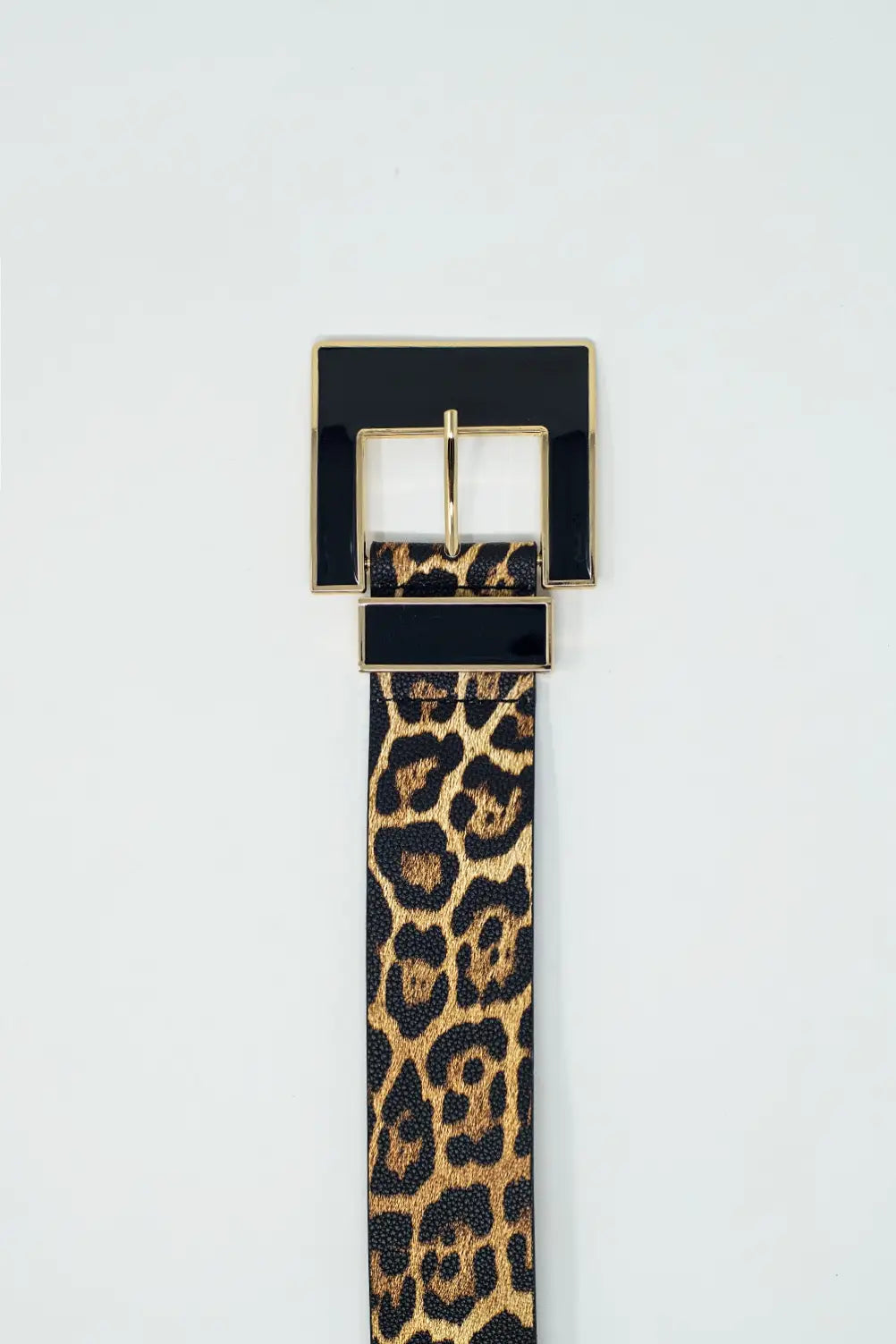 Wide leopard belt with black square buckle - Accesory